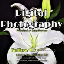 Digital Photography Group - 1...